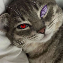 Rifzy's avatar